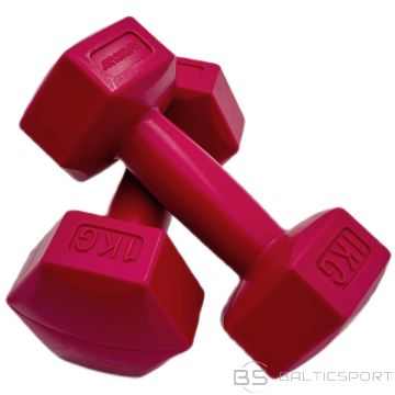 Hanteles komplekts 2x1 kg ENERO FIT
