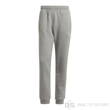 Adidas Essentials M H34659 bikses (XXL (193cm))