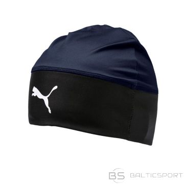 Puma Лига Beanie 022355-05 (OSFA)