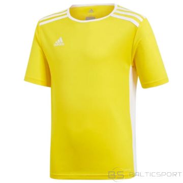Adidas Футболка Entrada 18 Jsyy Jr CF1039 (176 см)