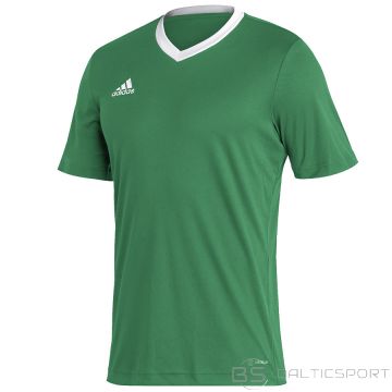Adidas Entrada T-krekls 22 jsy y hi2123 / Zaļa / XXL