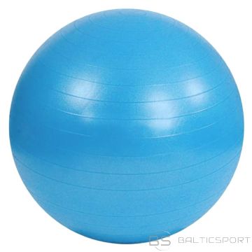 Sportech F Мяч гимнастический Anti-Burst S825760 / синий