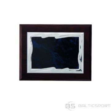 BS Plastmasas diploms ar iegravētu metāla plāksnīti (N/A)