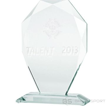 BS 3D engraved glass trophy with case (-)