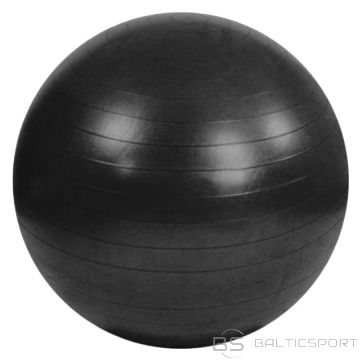 Sportech F Мяч гимнастический Anti-Burst S825760 / черный
