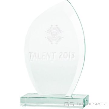 BS 3D engraved glass trophy with case (-)