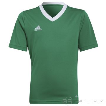 Adidas T-krekls ENTRADA 22 JSY Y HI2126 / zaļš / 164 cm