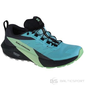 Salomon Sense Ride 5 GTX W 472160 running shoes (40)
