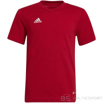 Adidas T-krekls Entrada 22 Tee Jr HC0446 (128cm)