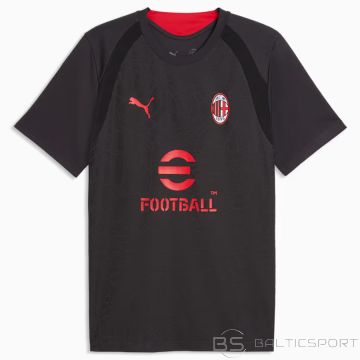 Puma AC Milan Training T-shirt JSY 786639-20 / gray / S