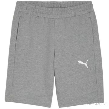 Puma teamGOAL Casuals M shorts 658608 33 (S)