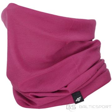 Skurstenis 4FSS23ABDAU021 55S (N/A)