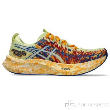 Asics Noosa Tri 16 Shoes (41,5)