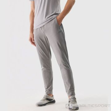Pants 4F M 4FWSS24TFTRM452 27M (XXL)