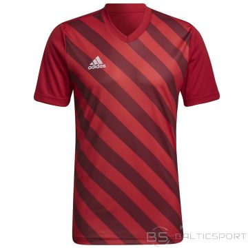T-krekls Adidas Entrada 22 GFX JSY HB0572 / Sarkana / S