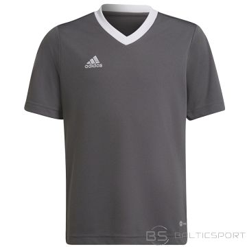 Adidas T-krekls ENTRADA 22 JSY Y H57499 / pelēks / 140 cm