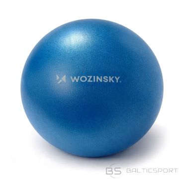 BS Wozinsky WPDP-N22 rehabilitation exercise ball 25cm - blue (N/A)