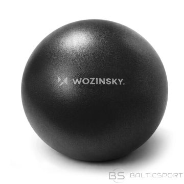 BS Wozinsky WPDP-C22 rehabilitation exercise ball 25cm - black (N/A)