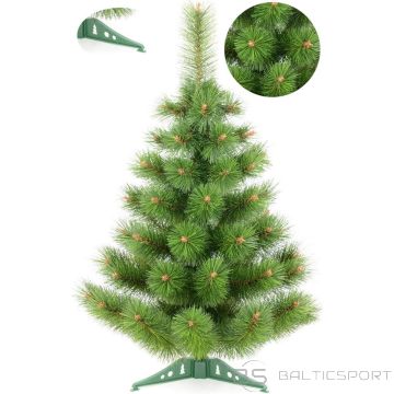 Saska Garden KLĀRAS ZIEMASSVĒTKU EGLĪTE, NEIZSLĒGTA, 50cm