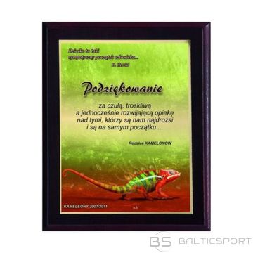 BS Plastmasas diploms ar krāsainu laminātu (nav pieejams)