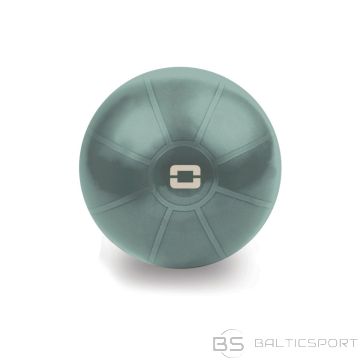 Toorx Liveness Gym ball AYP-001 D55cm with pump