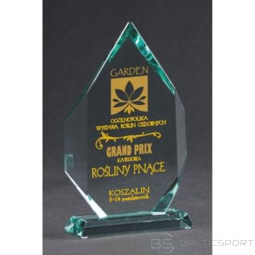 BS Gravēts stikla trofeja ar korpusu + krāsas pildījums (nav pieejams)