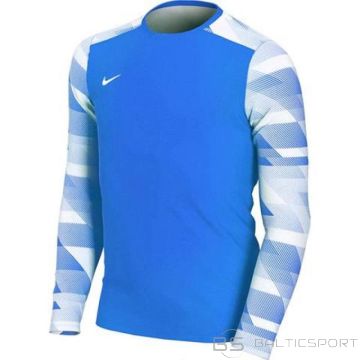 Goalkeeper jersey Nike Dry Park IV JSY LS JR CJ6072-463 (XS)