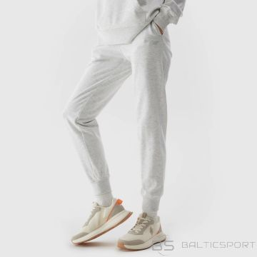 Spodnie 4F 4FWSS24TTROF606 27M / szary / XXL