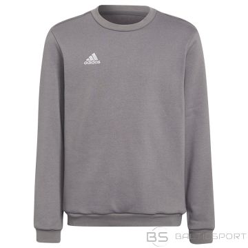 Adidas Džemperis ENTRADA 22 Sweat Top Y H57477 / pelēks / 164 cm