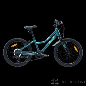 Radvik Bērnu velosipēds Viking 20 92800597756 (20&quot;)