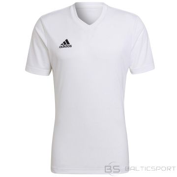 T-krekls Adidas Entrada 22 JSY HC5071 / Balta / M