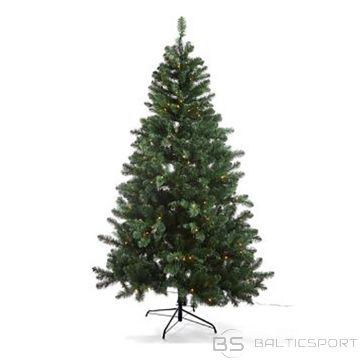 Egle Dakota Reduced 210cm d150cm 250LED Smart Adapter