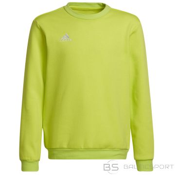Adidas Džemperis ENTRADA 22 Sweat Top Y HC5043 / dzeltens / 164 cm