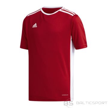 Adidas Футболка Entrada 18 Jr CF1050 (116 см)