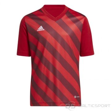 Adidas Entrada 22 Graphic Jersey Jr.H58983 (164 cm)