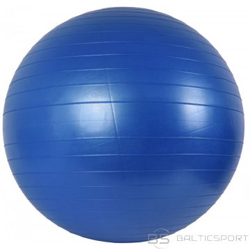 Inny Vingrošanas bumba 65 cm + sūknis (N/A)