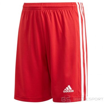 Adidas Squadra 21 Short Youth Jr GN5761 (128cm)