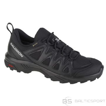 Salomon X Braze GTX M 471804 shoes (40)