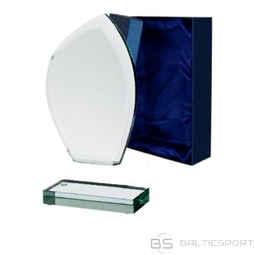 BS Glass trophy with a detached base and case (-)