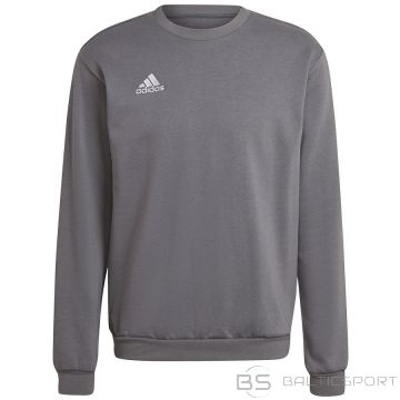 Adidas entrada 22 sviedru augšdaļa H57479 / Pelēka / S