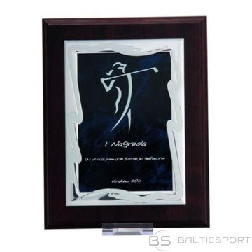 BS Plastmasas diploms ar iegravētu metāla plāksnīti (N/A)