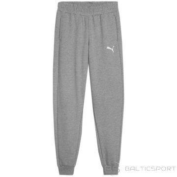 Puma Team Goal Jr pants 658601 33 (176cm)