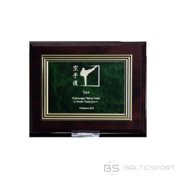 BS Plastmasas diploms ar gravējumu uz zelta plāksnes (nav pieejams)