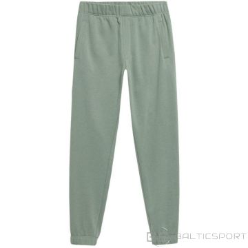 Outhorn Брюки M HOL22 SPMD604 41S (L)