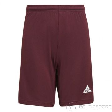 Adidas Squadra 21 Short Jr GN8081 (116 cm)