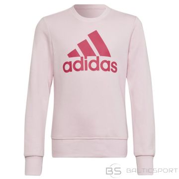 Sweatshirt adidas Big Logo SWT Jr HM8709 (140 cm)