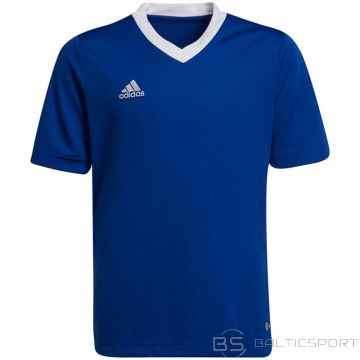 Adidas T-krekls Entrada 22 Jsy Jr HG3948 (176cm)