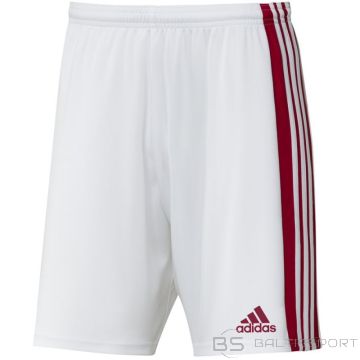 Adidas Squadra 21 Short M GN5770 (XL)