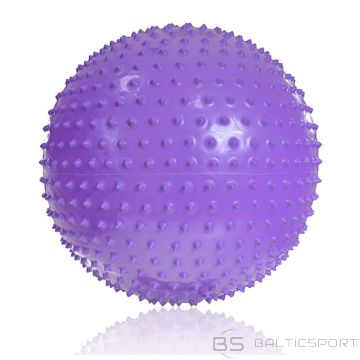 Inny Gym ball with massage PROFIT 55cm purple DK 2104 (N/A)