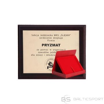 BS Пластиковая подложка с гравированным ламинатом + футляр 305x245 мм (недоступно)